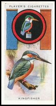 35 Kingfisher